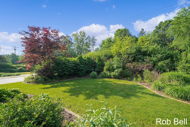 3897 Obrien St SW, Grand Rapids, MI 49534 - view of green lawn
