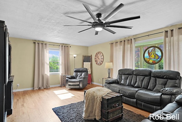 3897 Obrien St SW, Grand Rapids, MI 49534 - living room with a ceiling fan, light wood-type flooring, and a textured ceiling