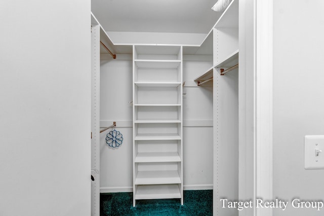 271 Rolling Greene Dr NW, Grand Rapids, MI 49534 - view of walk in closet