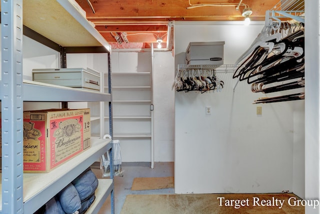 271 Rolling Greene Dr NW, Grand Rapids, MI 49534 - view of storage