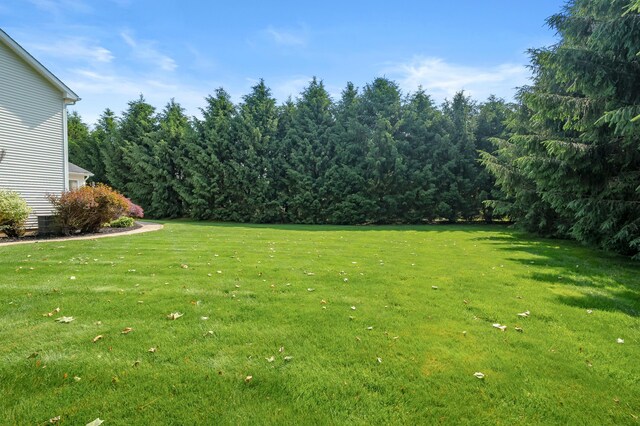 16069 Grazenview St, Schoolcraft, MI 49087 - view of grassy yard