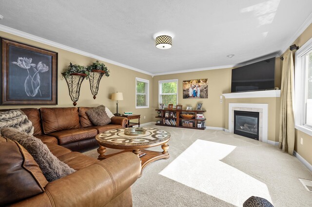 16069 Grazenview St, Schoolcraft, MI 49087 - living room with ornamental molding, carpet flooring, and a tiled fireplace