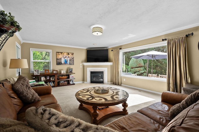 16069 Grazenview St, Schoolcraft, MI 49087 - carpeted living area featuring ornamental molding, a tile fireplace, and a textured ceiling