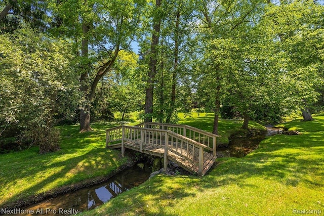 22219 Connemara Dr, Northville, MI 48167 - view of green lawn