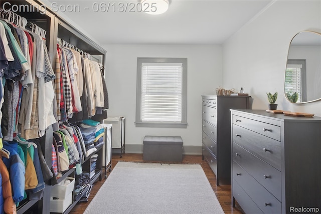 1390 W Blvd, Berkley, MI 48072 - walk in closet featuring dark wood-style flooring