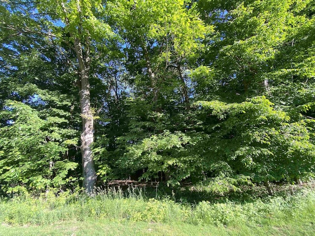 LOT10 S Club Dr, Cedar, MI 49621