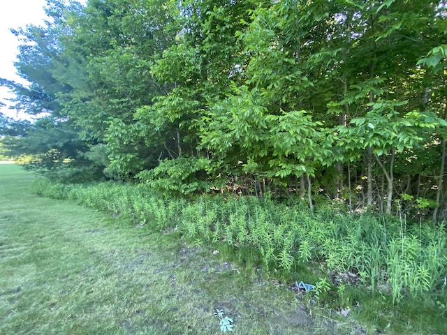 LOT10 S Club Dr, Cedar, MI 49621