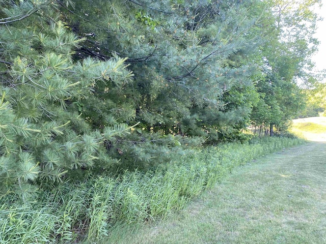 LOT10 S Club Dr, Cedar, MI 49621