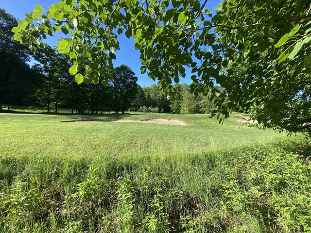 LOT10 S Club Dr, Cedar, MI 49621