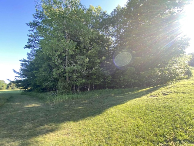 LOT10 S Club Dr, Cedar, MI 49621