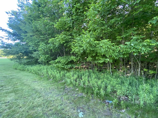 LOT10 S Club Dr, Cedar, MI 49621
