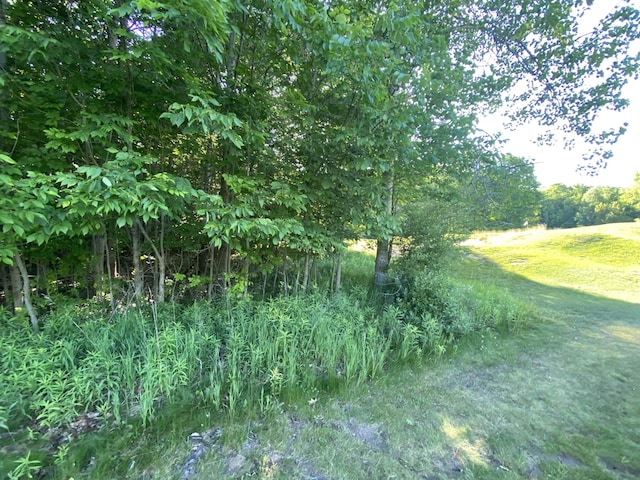 LOT10 S Club Dr, Cedar, MI 49621