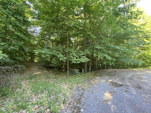 LOT10 S Club Dr, Cedar, MI 49621