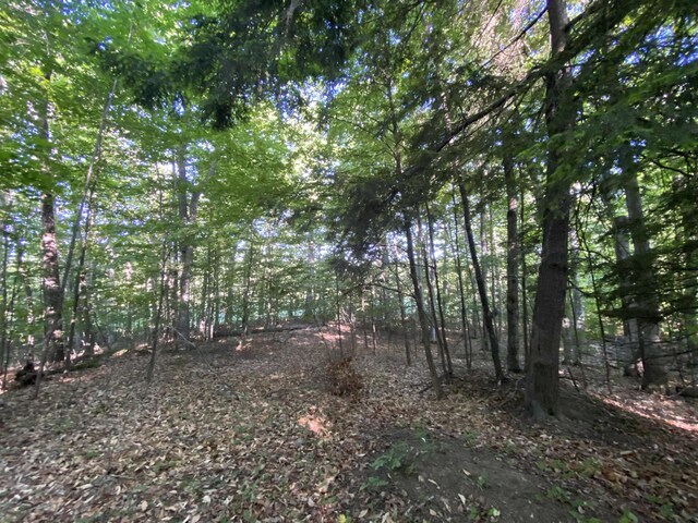 LOT10 S Club Dr, Cedar, MI 49621