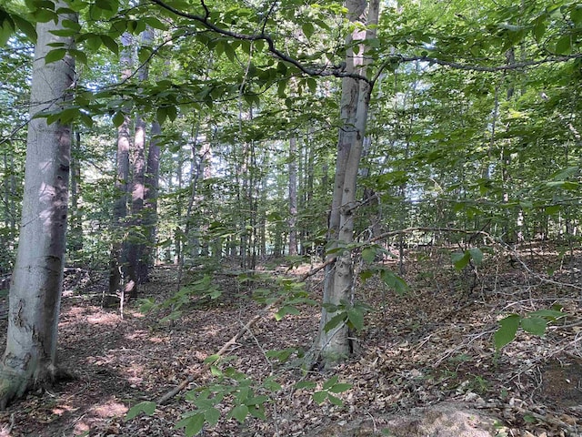 LOT10 S Club Dr, Cedar, MI 49621