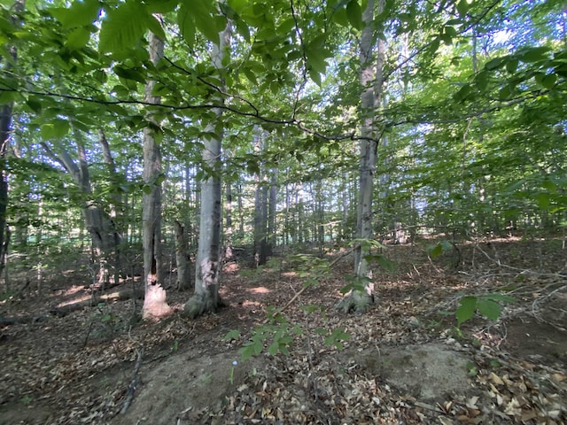 LOT10 S Club Dr, Cedar, MI 49621
