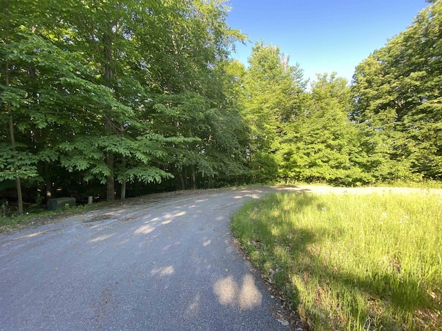 LOT10 S Club Dr, Cedar, MI 49621