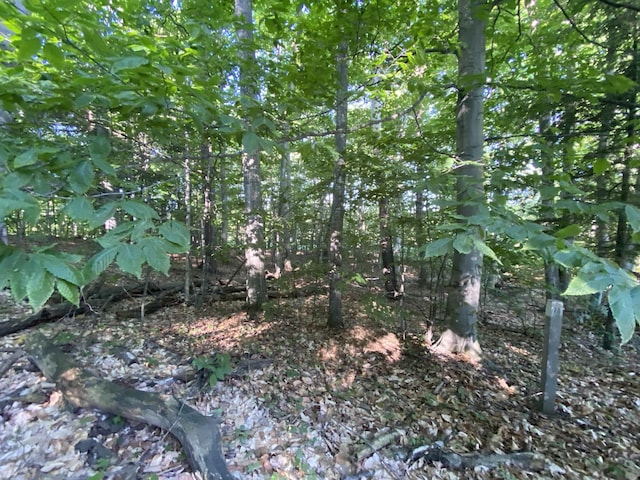 LOT10 S Club Dr, Cedar, MI 49621