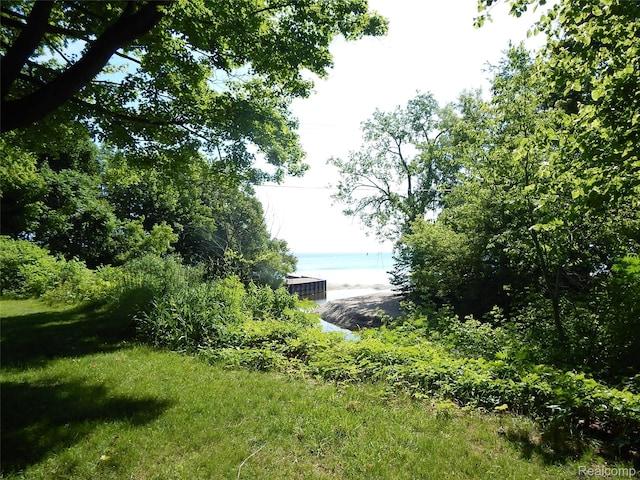 7428 Grove Rd, Lexington, MI 48450 - photo 14