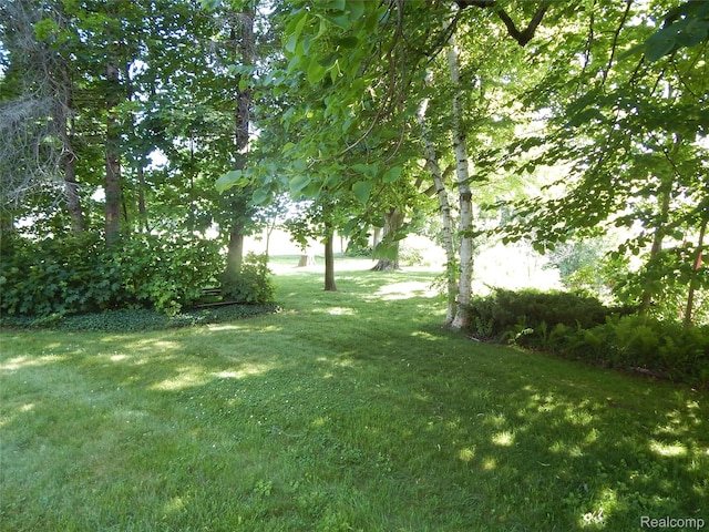 7428 Grove Rd, Lexington, MI 48450 - photo 15