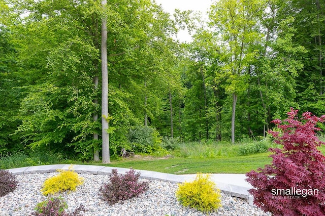 6853 Loggers Ridge Run SE, Caledonia, MI 49316 - view of green lawn