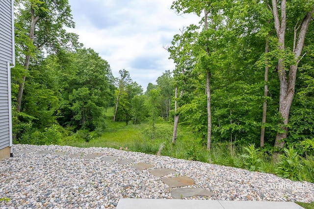 6853 Loggers Ridge Run SE, Caledonia, MI 49316 - view of yard featuring a view of trees