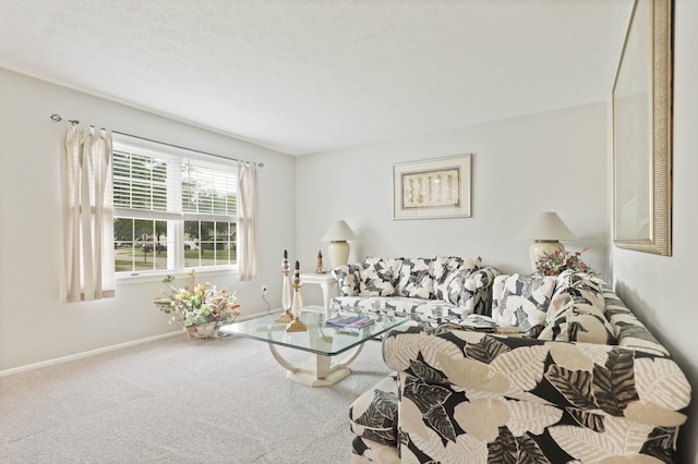 429 Zehnder Dr, Frankenmuth, MI 48734 - living room with carpet and baseboards