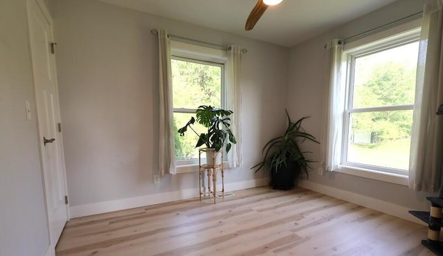 103 Cottonwood Ct, Litchfield, MI 49252 - empty room featuring light wood-style floors