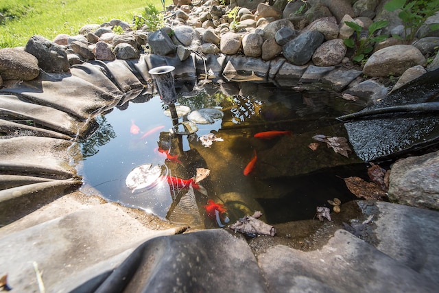 3360 Broad St, Dexter, MI 48130 - exterior view of a garden pond