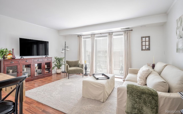 411 S Old Woodward Ave Unit 1007, Birmingham, MI 48009 - living room featuring ornamental molding and wood finished floors