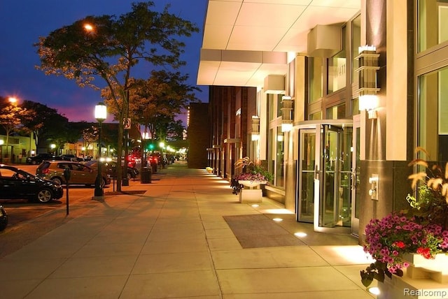 411 S Old Woodward Ave Unit 1007, Birmingham, MI 48009 - view of common area