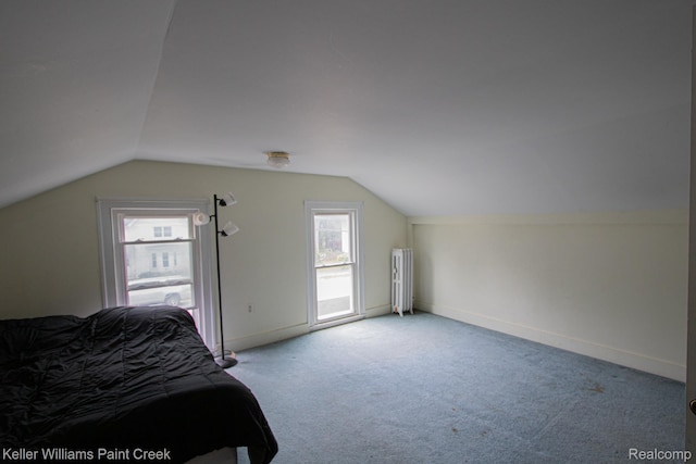 235 E Saint Clair St, Almont, MI 48003 - bedroom with vaulted ceiling, carpet flooring, and radiator heating unit