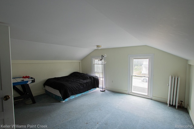 235 E Saint Clair St, Almont, MI 48003 - carpeted bedroom featuring radiator and vaulted ceiling