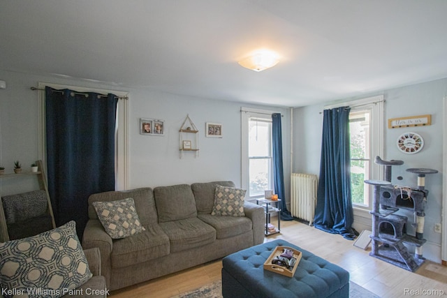 235 E Saint Clair St, Almont, MI 48003 - living area featuring plenty of natural light, light wood finished floors, and radiator heating unit