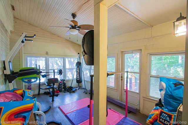 235 E Saint Clair St, Almont, MI 48003 - sunroom with vaulted ceiling, ceiling fan, healthy amount of natural light, and wood finished floors