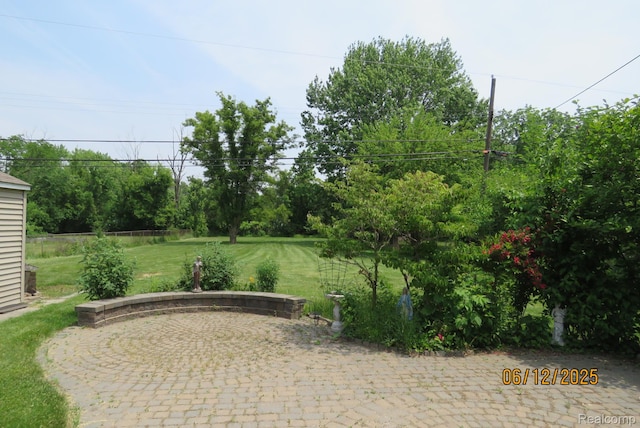 10571 Baraga St, Taylor, MI 48180 - view of patio