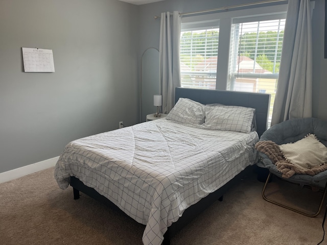 727 Wild Flower Ct, Wayland, MI 49348 - bedroom with carpet flooring and baseboards