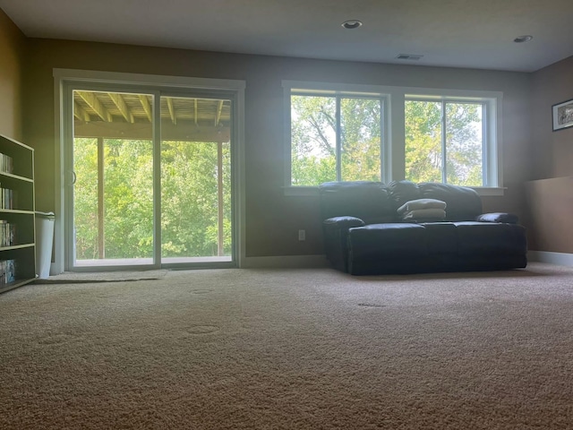 727 Wild Flower Ct, Wayland, MI 49348 - carpeted living area featuring baseboards