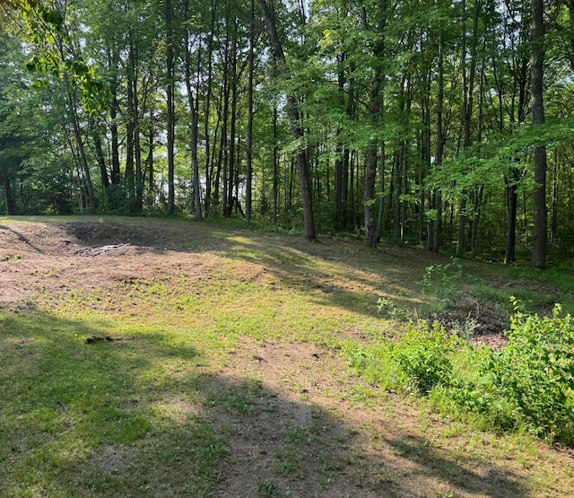1321 Ziggy Rd, Farwell, MI 48622 - view of yard featuring a wooded view
