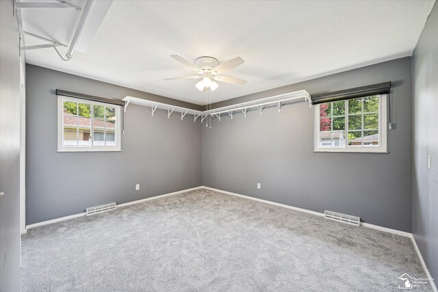 1115 Birchwood Dr, Temperance, MI 48182 - carpeted spare room with a ceiling fan and healthy amount of natural light