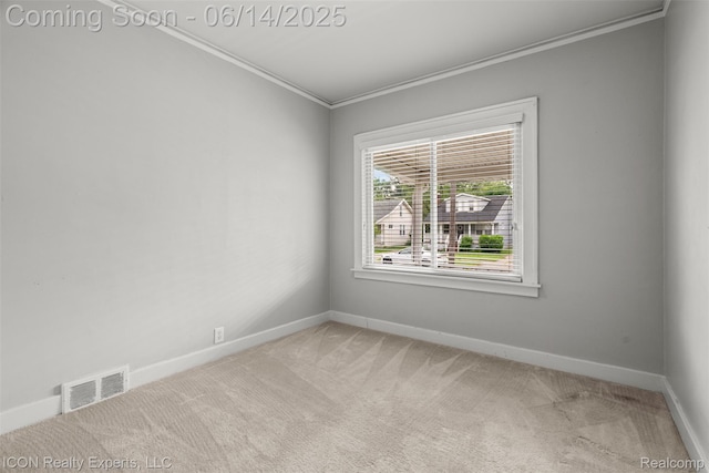 246 E Chesterfield St, Ferndale, MI 48220 - unfurnished room with crown molding and light colored carpet