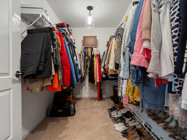 13531 Brampton Ct, Utica, MI 48315 - walk in closet with carpet floors