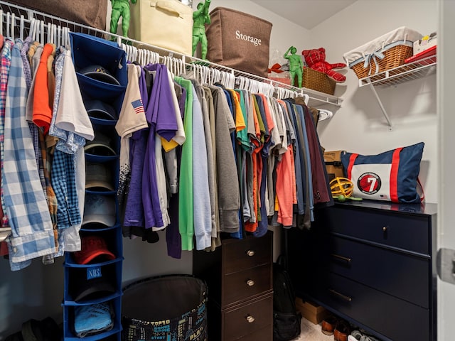 13531 Brampton Ct, Utica, MI 48315 - view of walk in closet