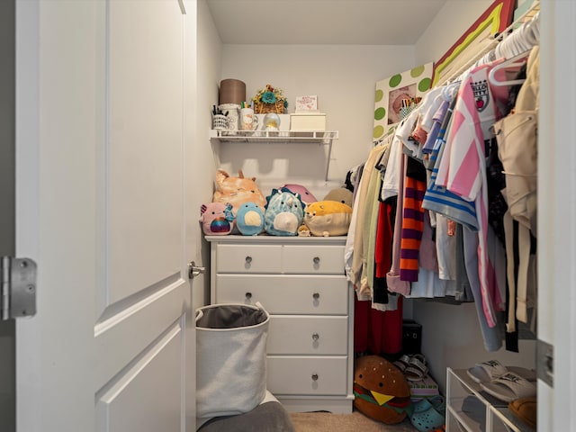 13531 Brampton Ct, Utica, MI 48315 - view of walk in closet