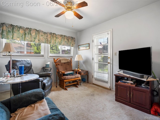 27445 Buckingham St, Livonia, MI 48154 - photo 13