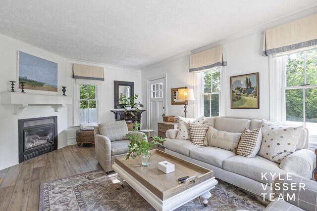 3 Woodward Ln SE, Grand Rapids, MI 49506 - living room featuring hardwood / wood-style flooring, plenty of natural light, a glass covered fireplace, and crown molding