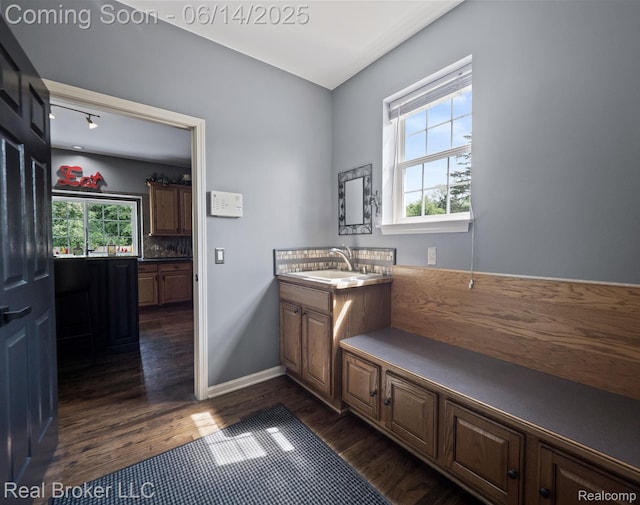 7235 Goldenrod Ct, Brighton, MI 48116 - bathroom featuring vanity and wood finished floors