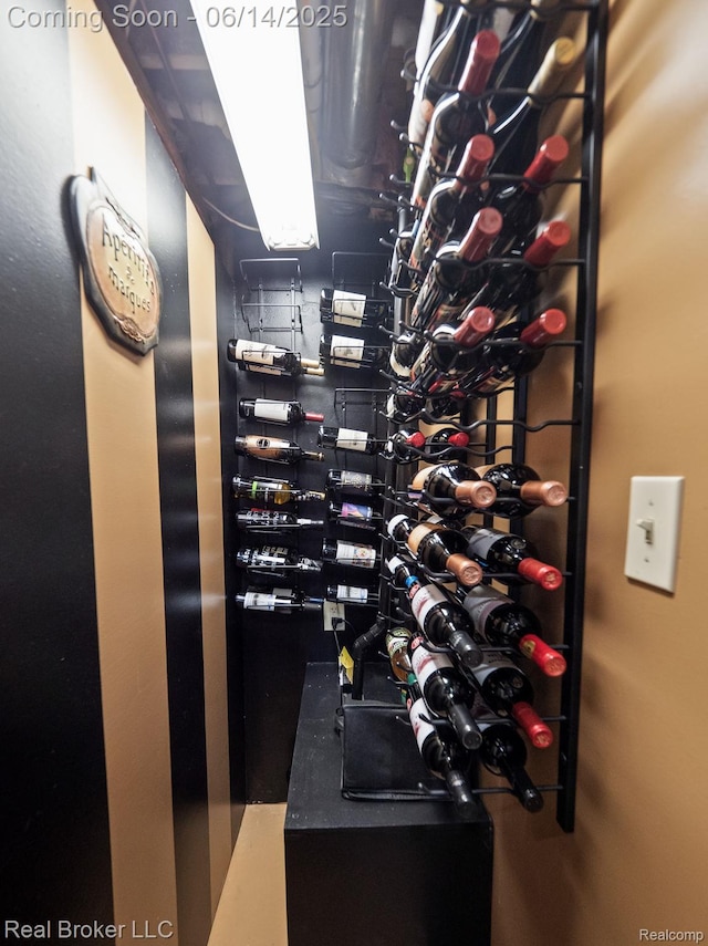 7235 Goldenrod Ct, Brighton, MI 48116 - wine room featuring electric panel