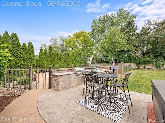 7235 Goldenrod Ct, Brighton, MI 48116 - fenced backyard featuring exterior kitchen, a patio, and outdoor dining space