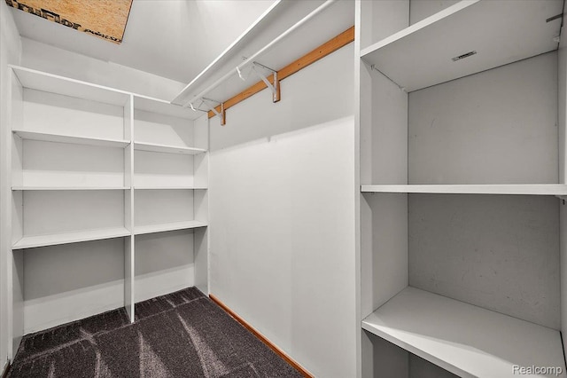 2696 Cedar Key Dr, Lake Orion, MI 48360 - spacious closet featuring dark colored carpet